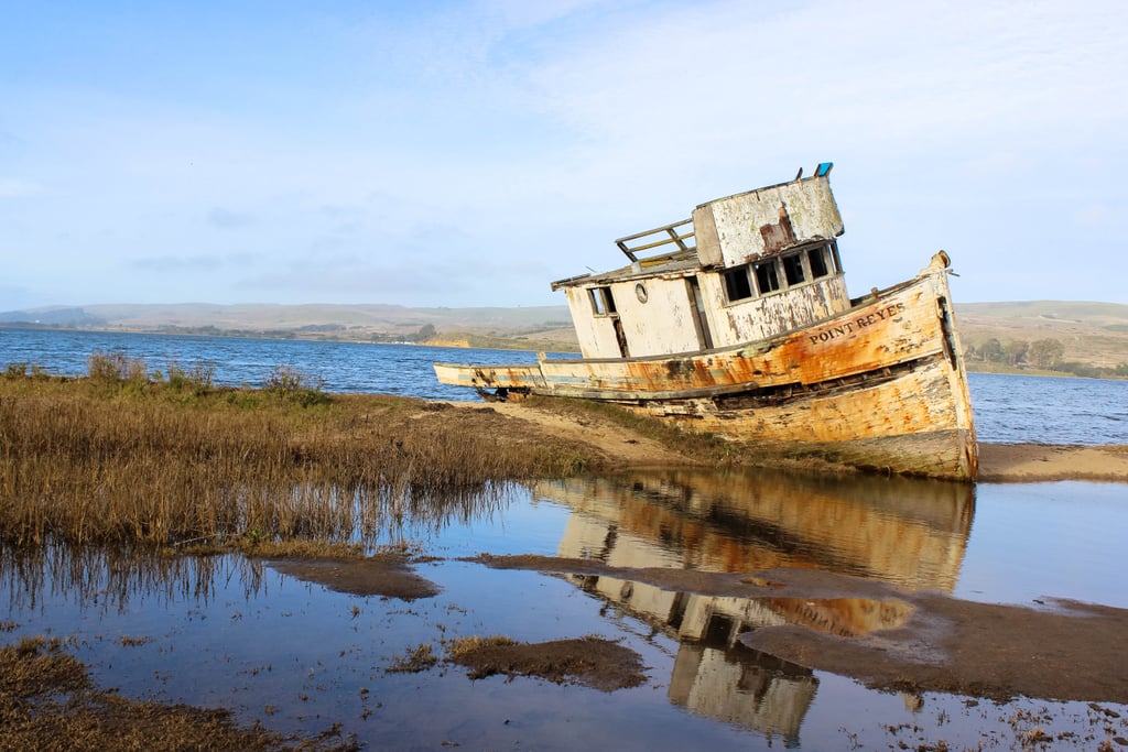 Lastly, don't forget to carve out time to visit the infamous Point Reyes Shipwreck. Beached on a sandbar in the small town of Inverness, this abandoned fishing boat was once in danger of being removed. Yet, thanks to a group of local photographers, this hauntingly beautiful decaying vessel is here to stay and warmly welcomes your curious mind!