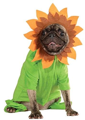 Sunflower Pet Costume