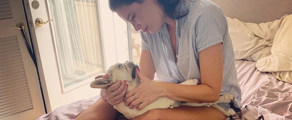 Bruley the Dog on Queer Eye Has Passed Away at 10 Years Old