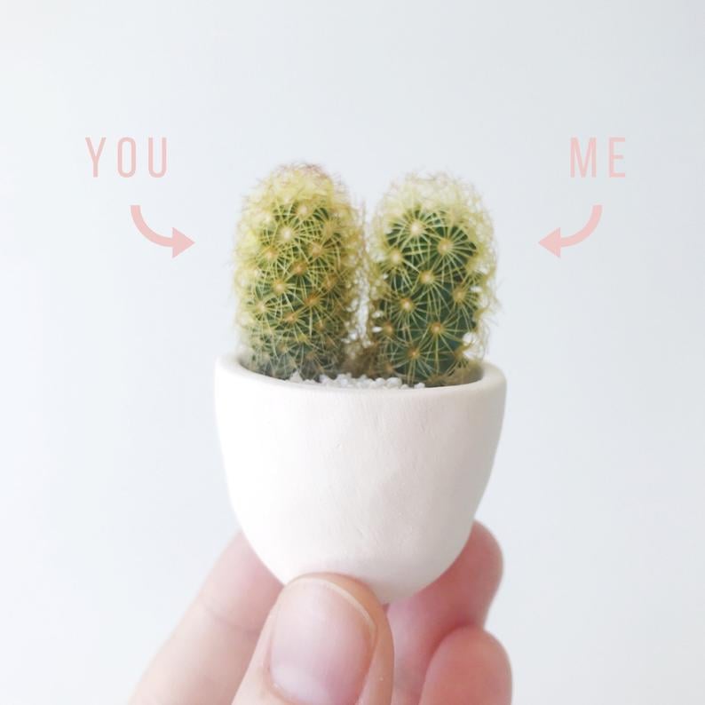 You and Me Mini Cactus and Mini Planter
