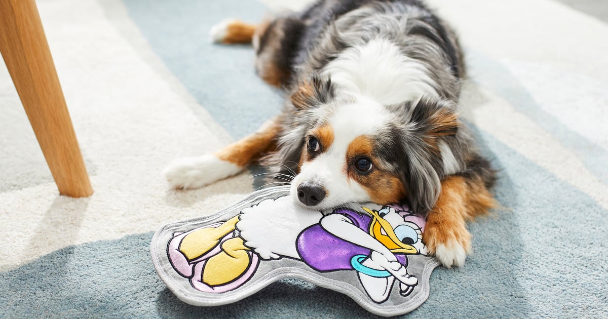 You Can Find the Best Disney Dog Toys at Chewy POPSUGAR UK Pets