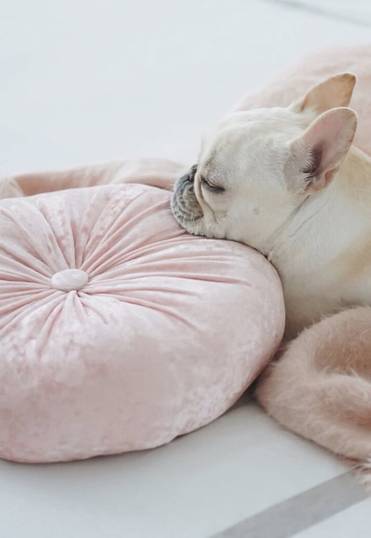 Forever 21 Round Velvet Throw Pillow How to Decorate a Small Apartment on a Budget POPSUGAR