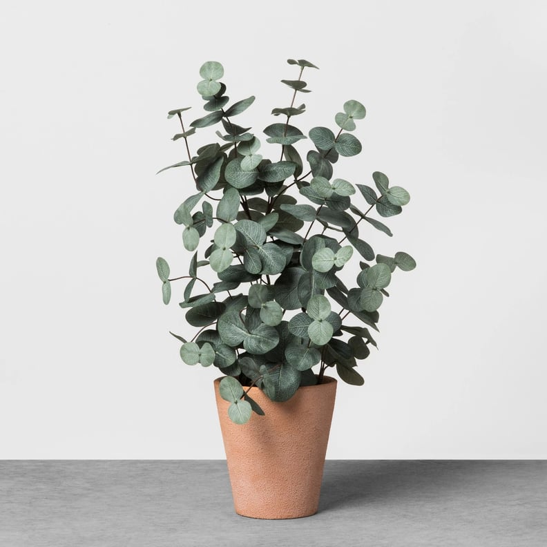 Faux Eucalyptus in Terracotta Pot