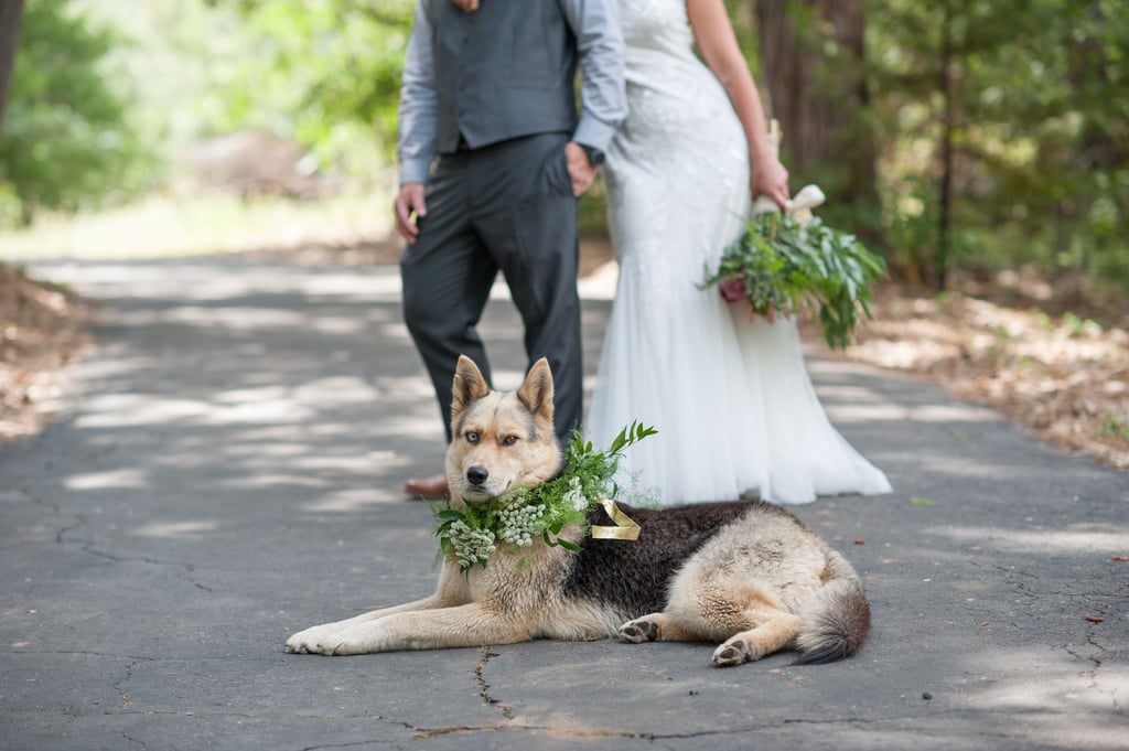 California Forest Wedding