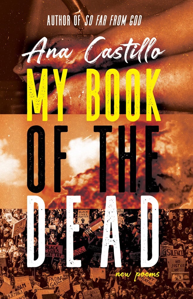 My Book of the Dead, by Ana Castillo