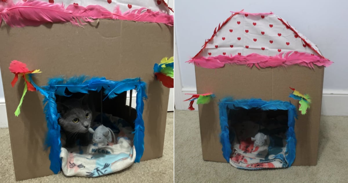 How to Make a DIY Cat Playhouse POPSUGAR Pets