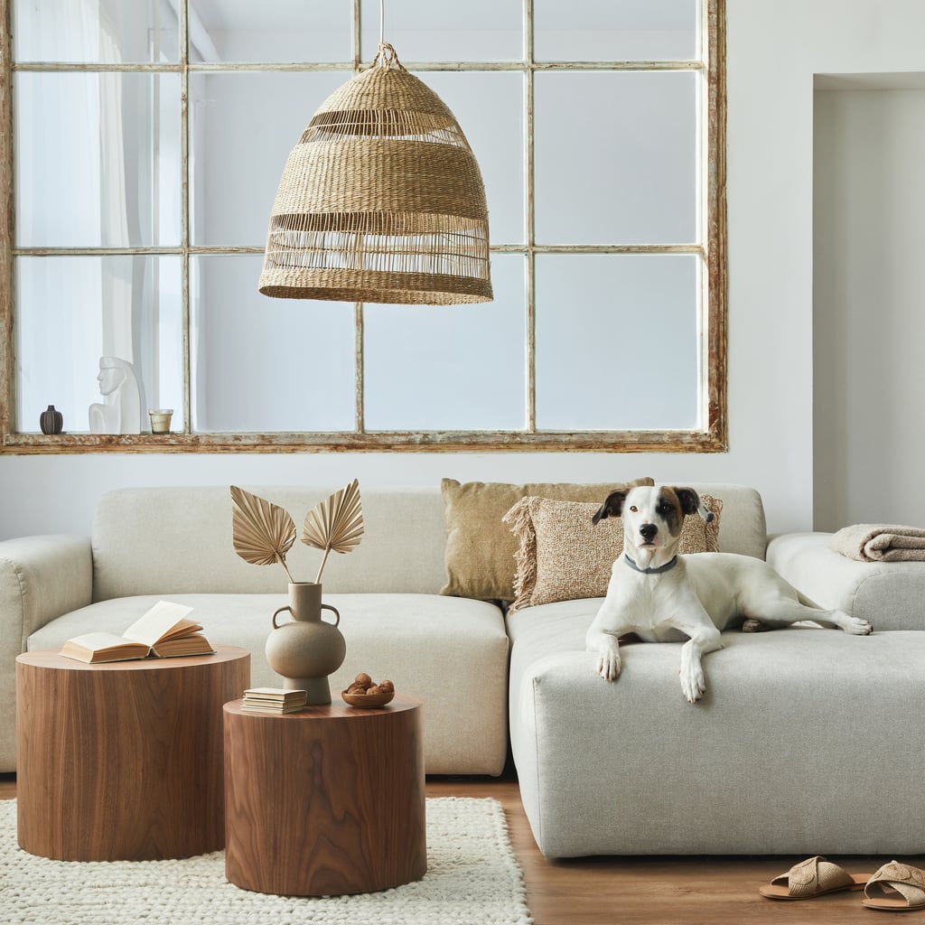 10 Durable Sofas Perfect For People With Pets — Including Black Friday Deals