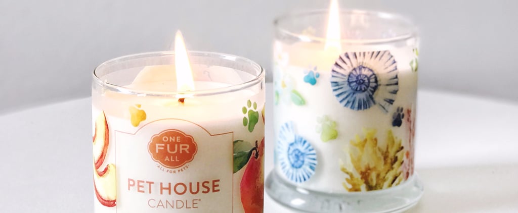 One Fur All Pet House Candle Review