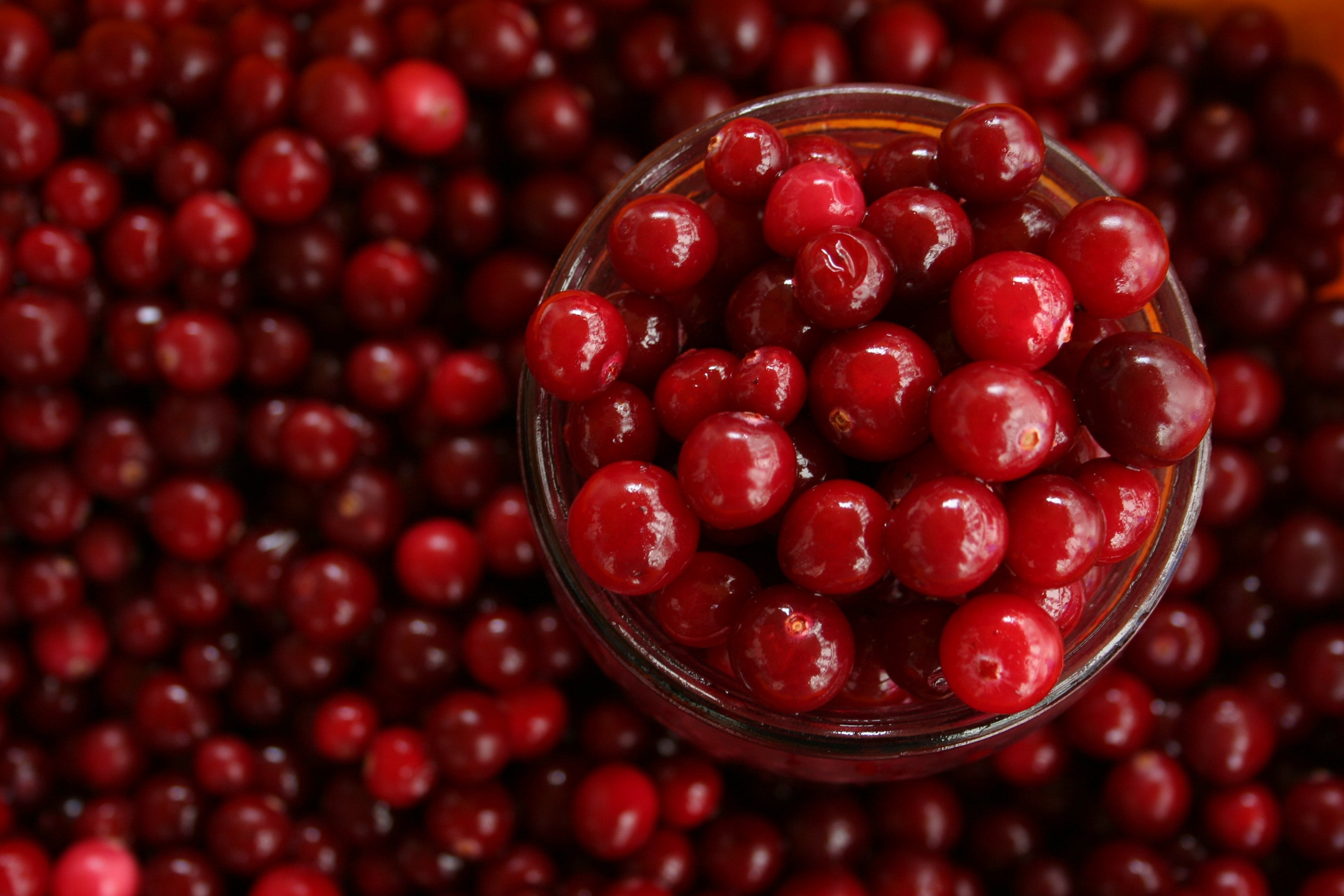 Cranberries Are Good For Gut Health POPSUGAR Fitness