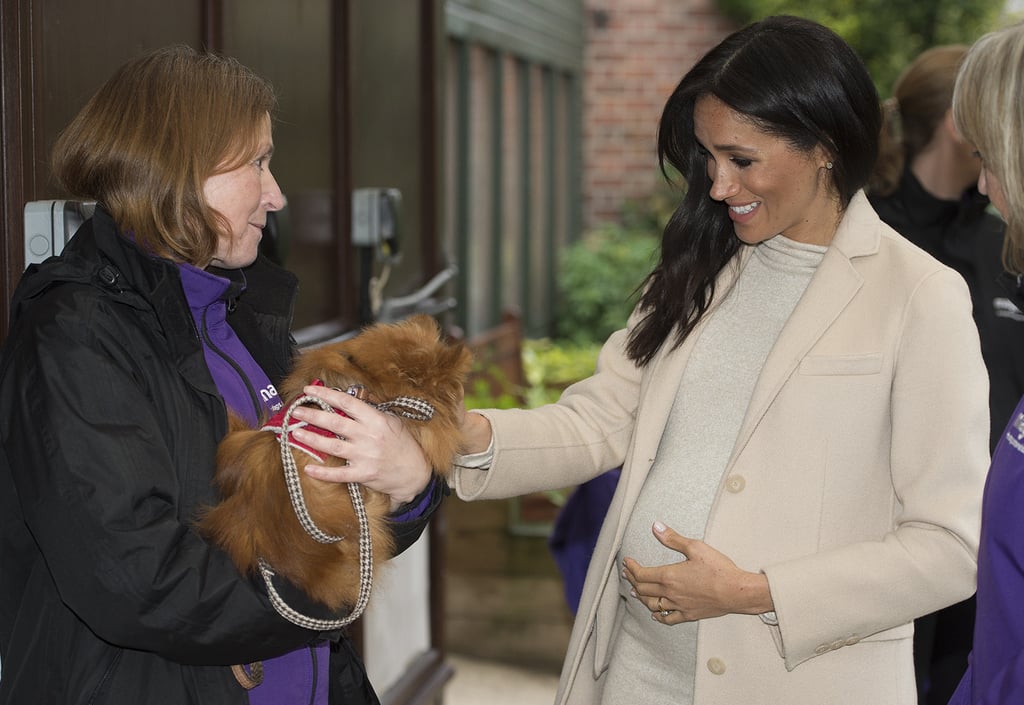 Meghan Markle's H&M Dress at Mayhew Visit January 2019