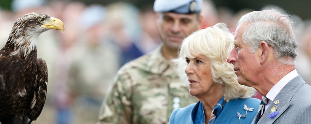 Prince Charles Camilla Freak Out at Eagle