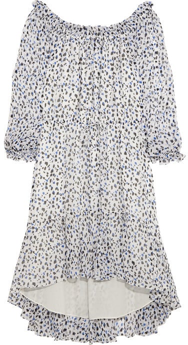 Diane von Furstenberg Camila printed silk-chiffon dress ($470)