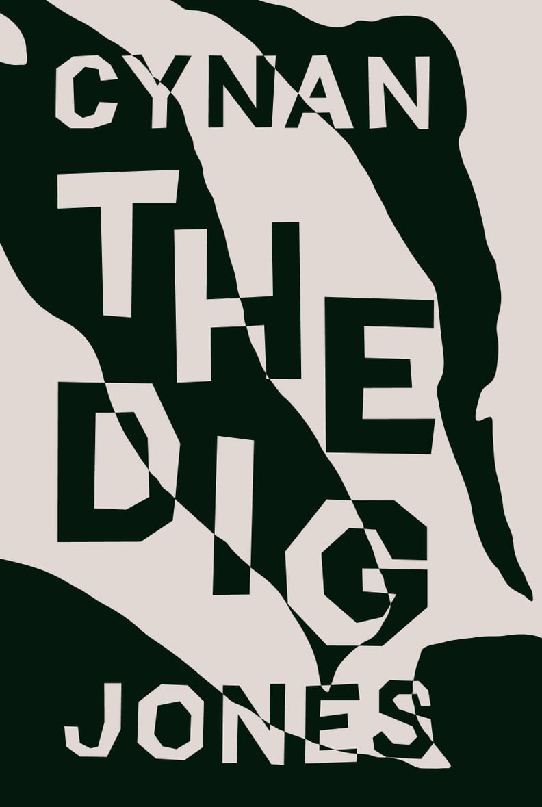The Dig by Cynan Jones