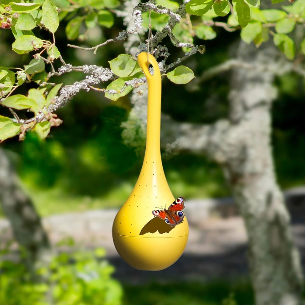 Hanging Butterfly Oasis