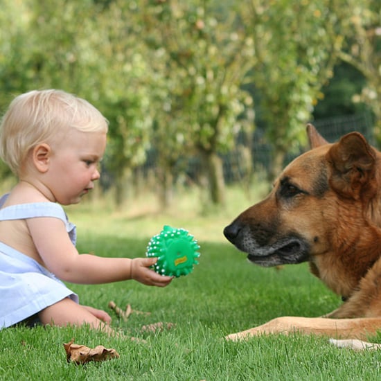 Benefits of Dogs For Kids