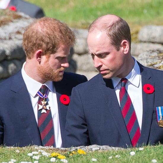 Prince William and Prince Harry at Anniversary of Vimy Ridge