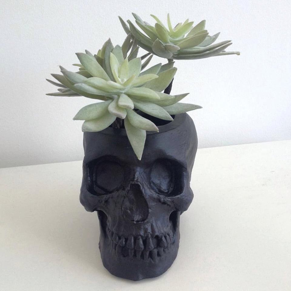 A matte-black finish makes this skull planter ($42) as Gothic as can be.