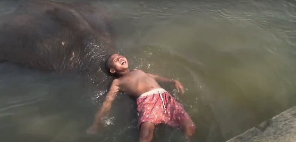 Best Documentaries For Kids Best Documentaries For Kids