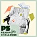 PS Reading Challenge 2025 Prompt List