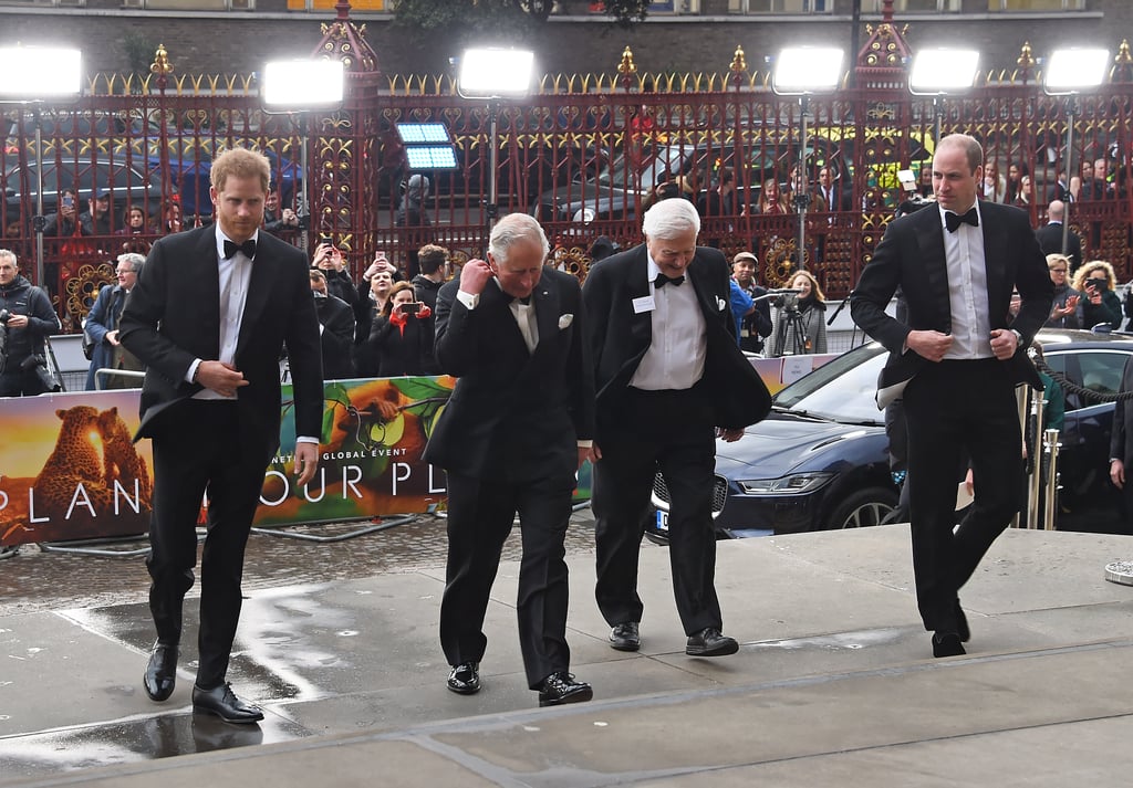 Harry, William, and Charles at Our Planet Premiere 2018