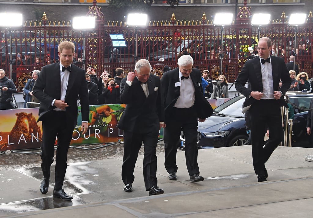 Harry, William, and Charles at Our Planet Premiere 2019