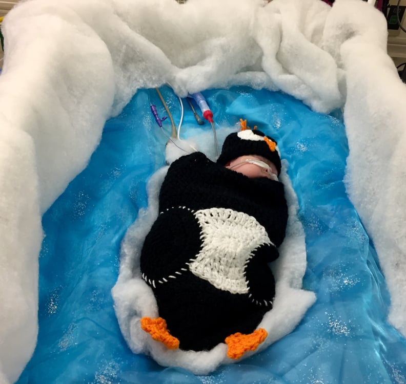 Penguin