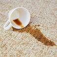This Homemade Carpet Cleaner Can Tackle Any Unexpected Stain