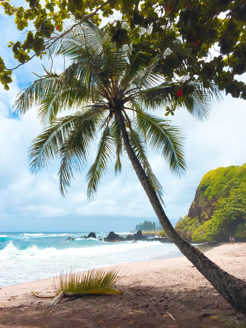 More Beach Time (and Coconuts)