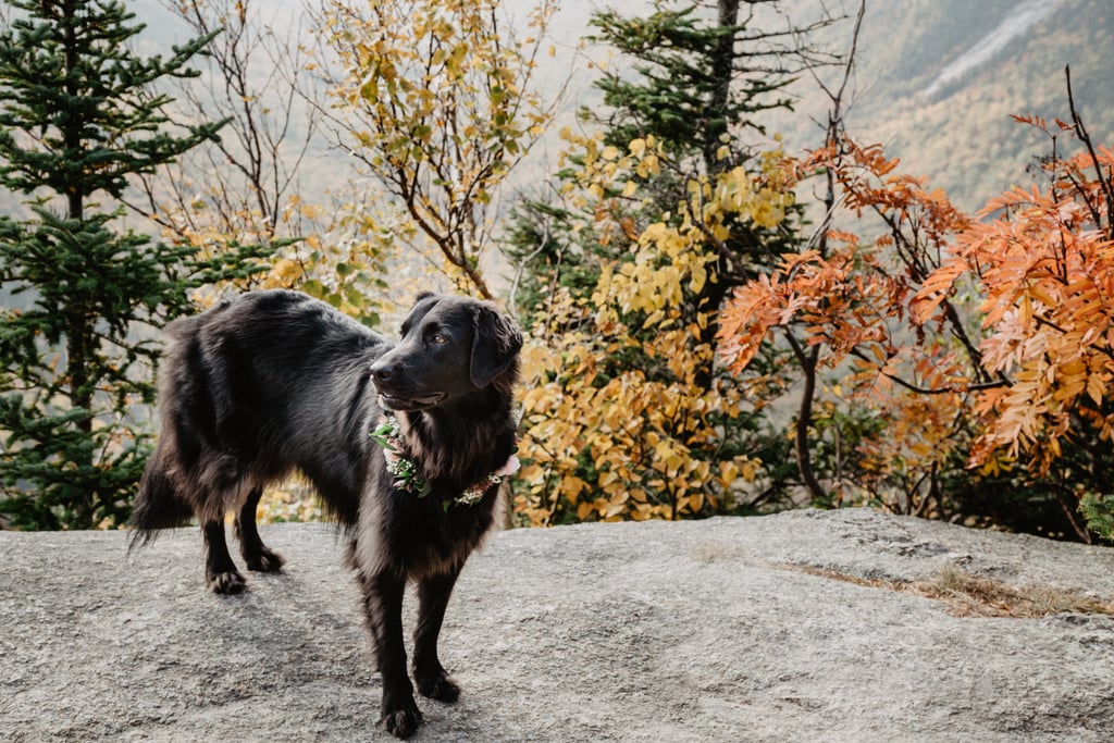 New Hampshire Outdoor Adventure Elopement