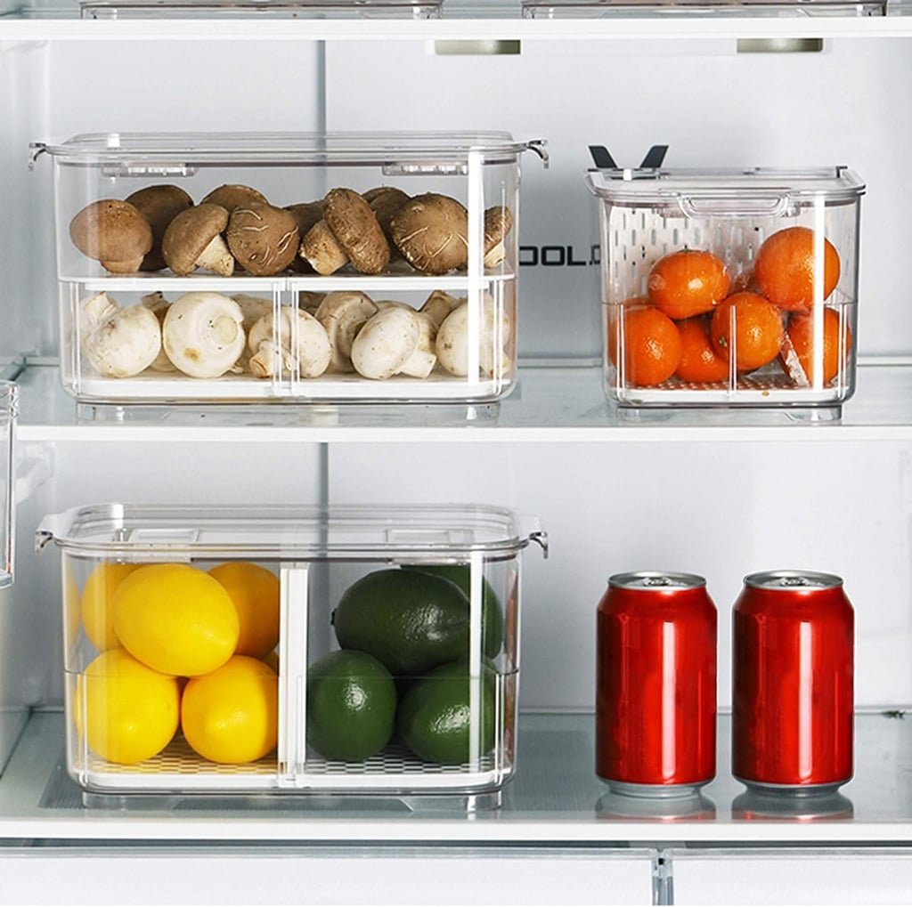 Best Large Produce Saver Bins