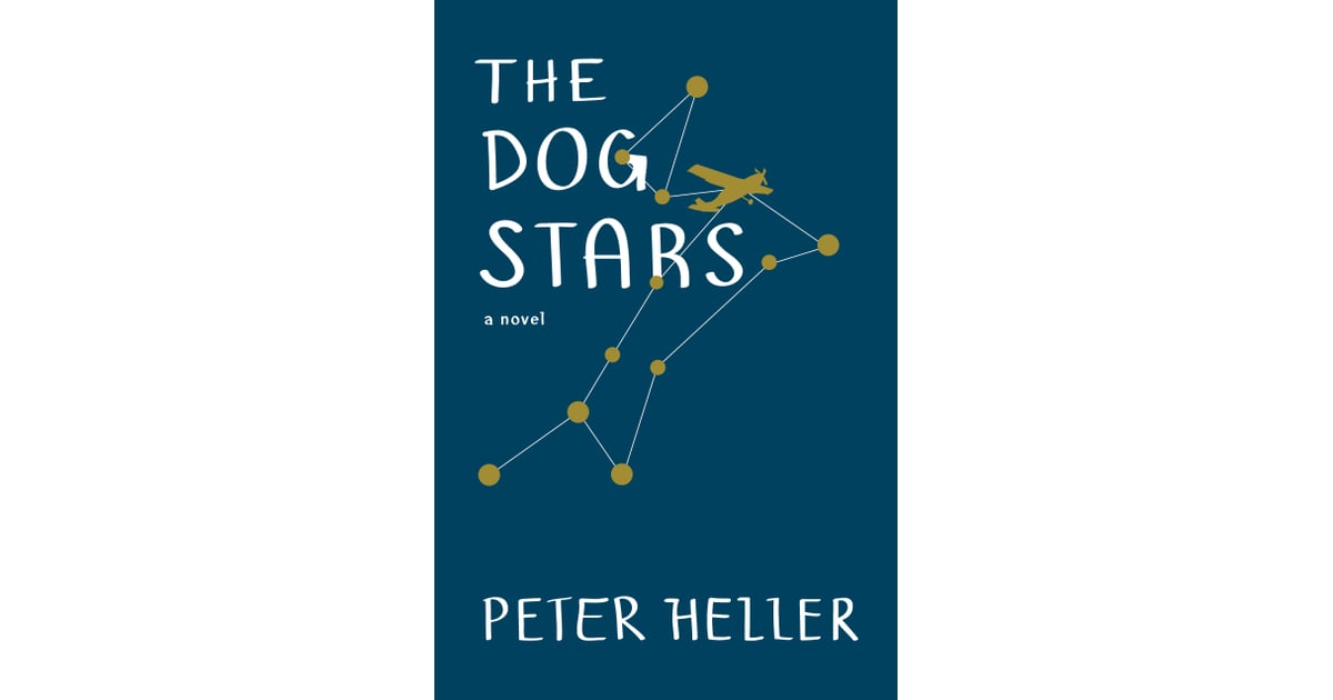 the dog stars review