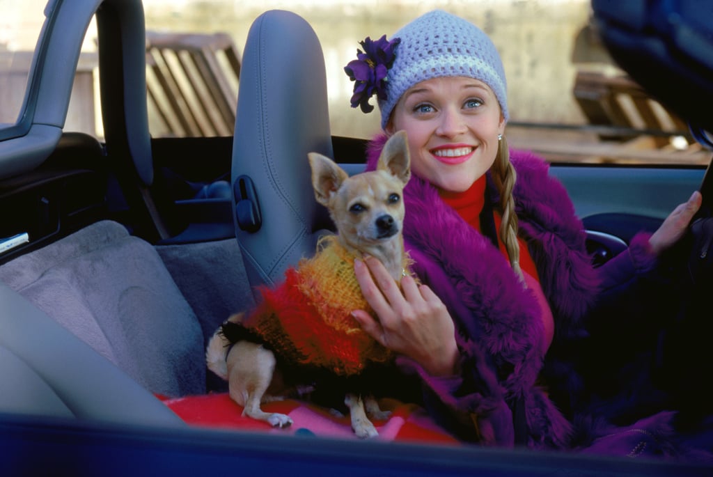 This Precious Knit Beanie and Fluffy Purple Coat