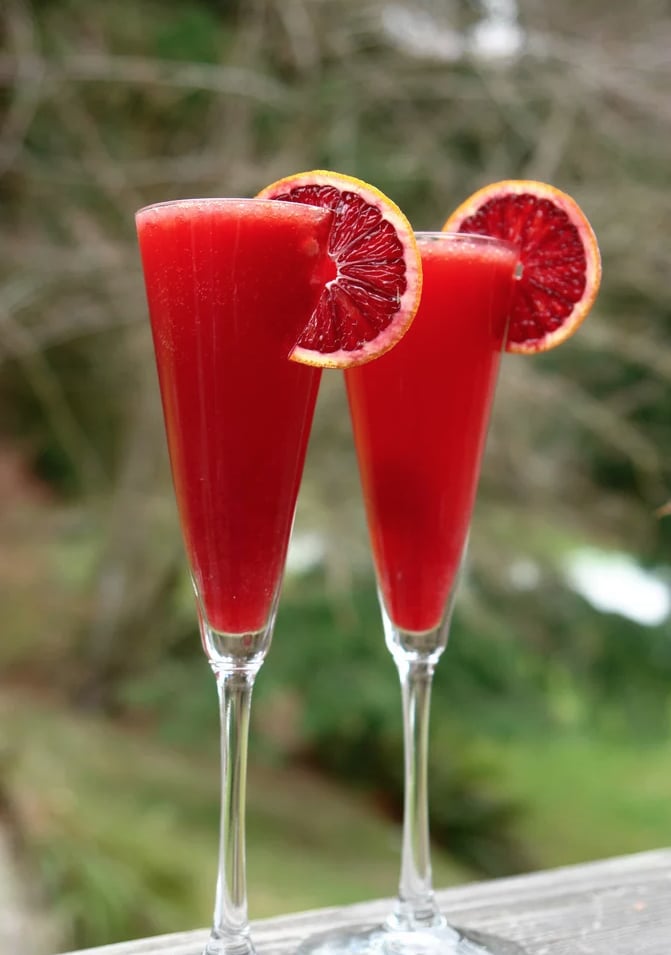 Bubbly Blood Orange Campari Cocktail