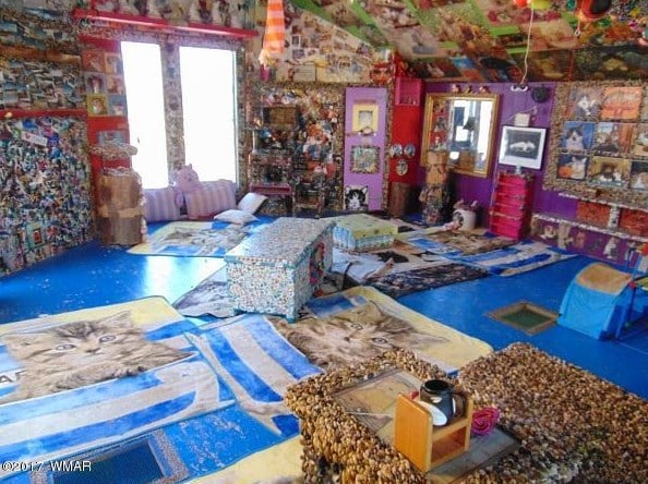 Cat House in Arizona