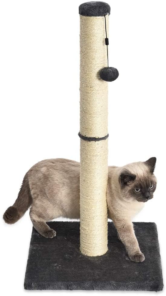 Amazon Basics Medium Cat Scratching Post