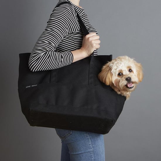Best Pet Gifts From Nordstrom