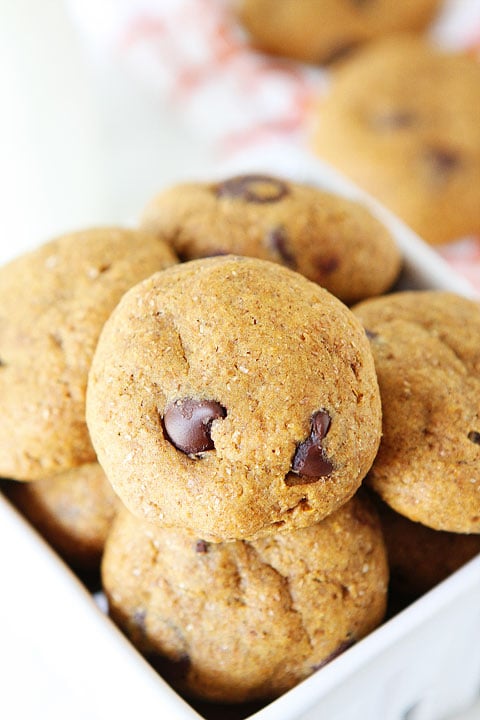 Vegan Pumpkin Chocolate Chip Cookies