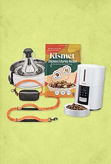 Best Products For Pet Owners