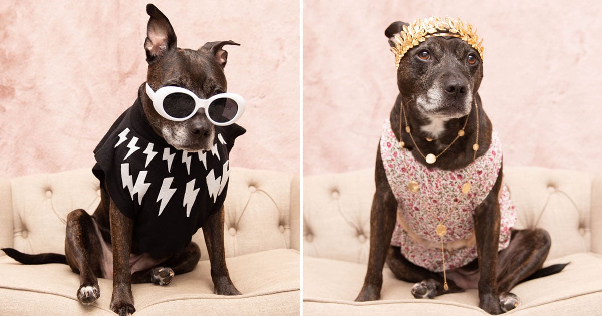 Rose dog costume sale