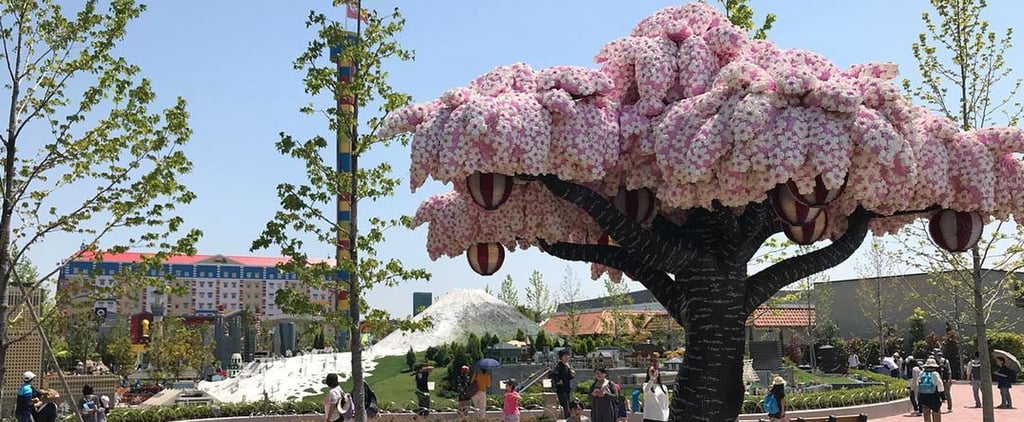 Lego Cherry Blossom Tree at Legoland Japan