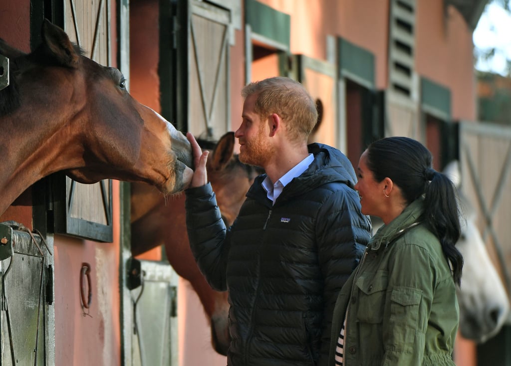 Meghan and Harry With Horses on Morocco Tour February 2019