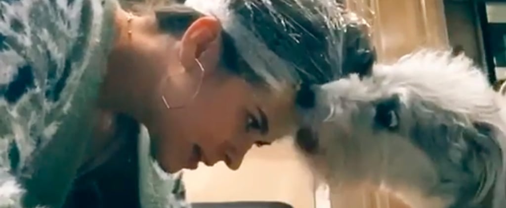 Woman With Peanut Butter on Her Head Clips Dog's Nails Video