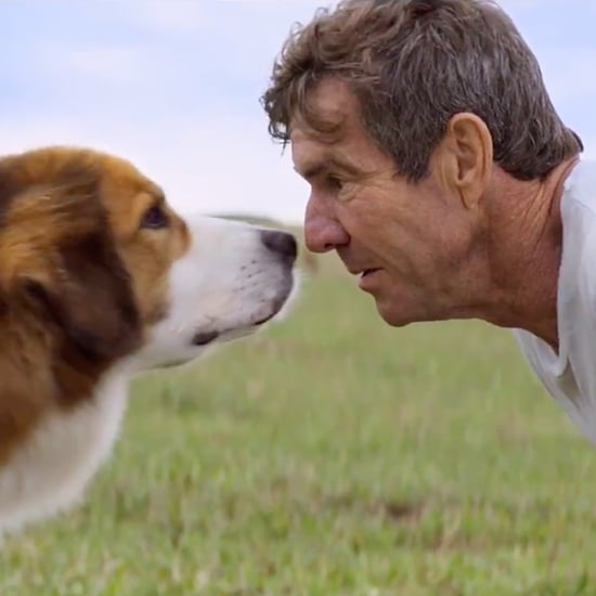 A Dog's Purpose Trailer