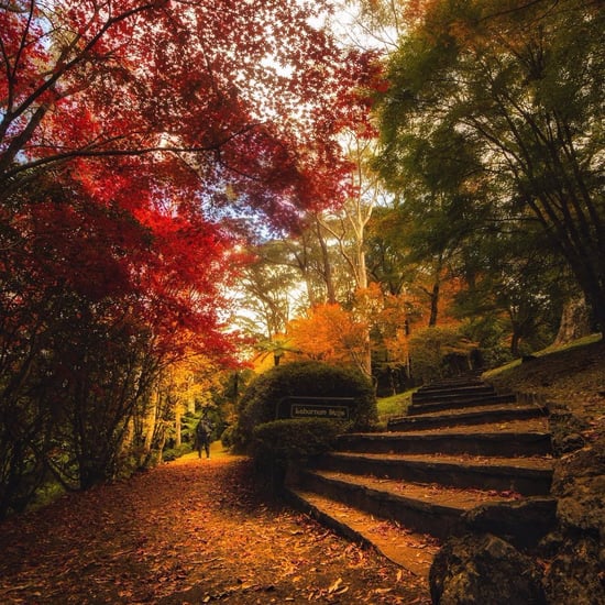 Australia's Breenhold Gardens in the Fall