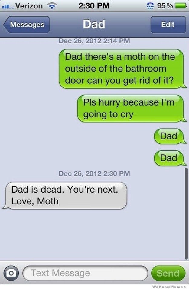 Moth: 1, Dad: 0