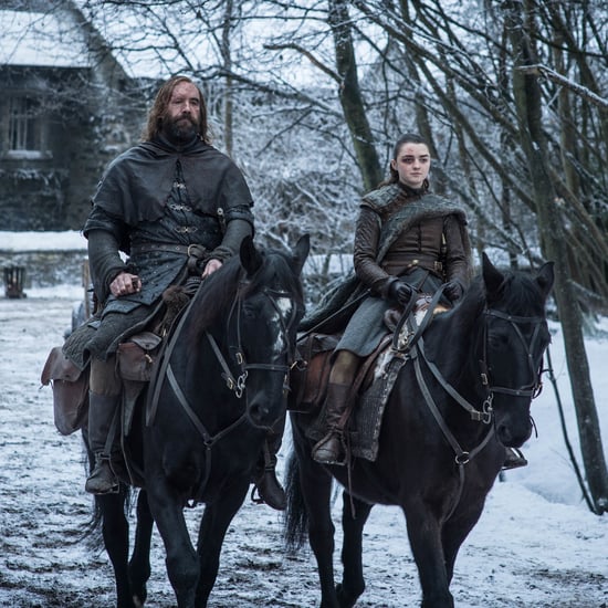 Are the Hound and Arya Friends on Game of Thrones?
