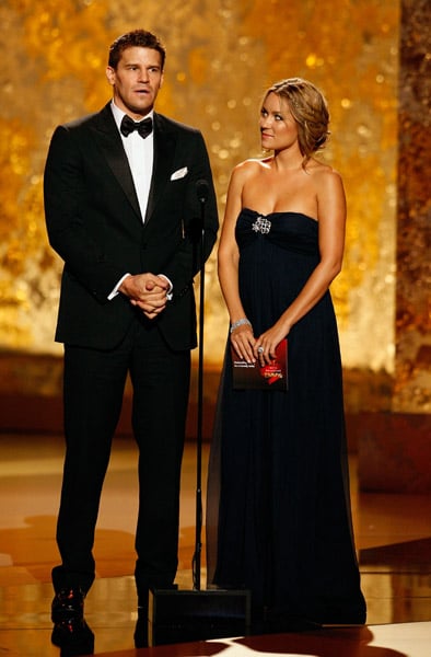 2008 Primetime Emmys Show and Audiance