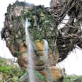 The Subtle Detail That Makes Disney's Avatar Thrill Ride Its Most Advanced Yet