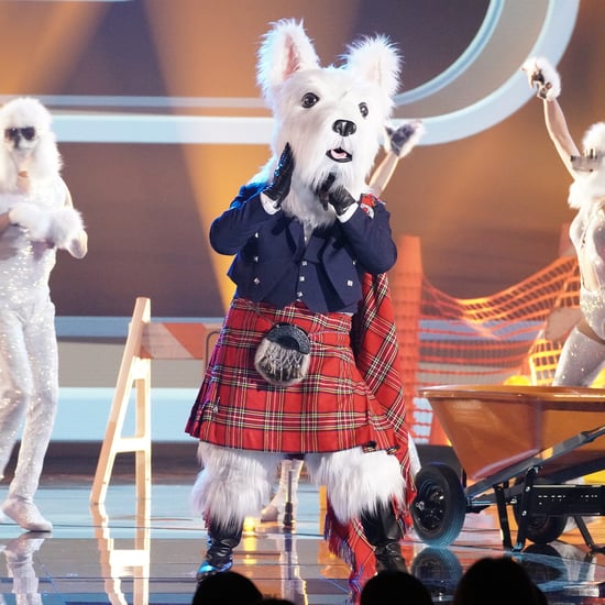 Who Has Been Unmasked on The Masked Singer Season 7?