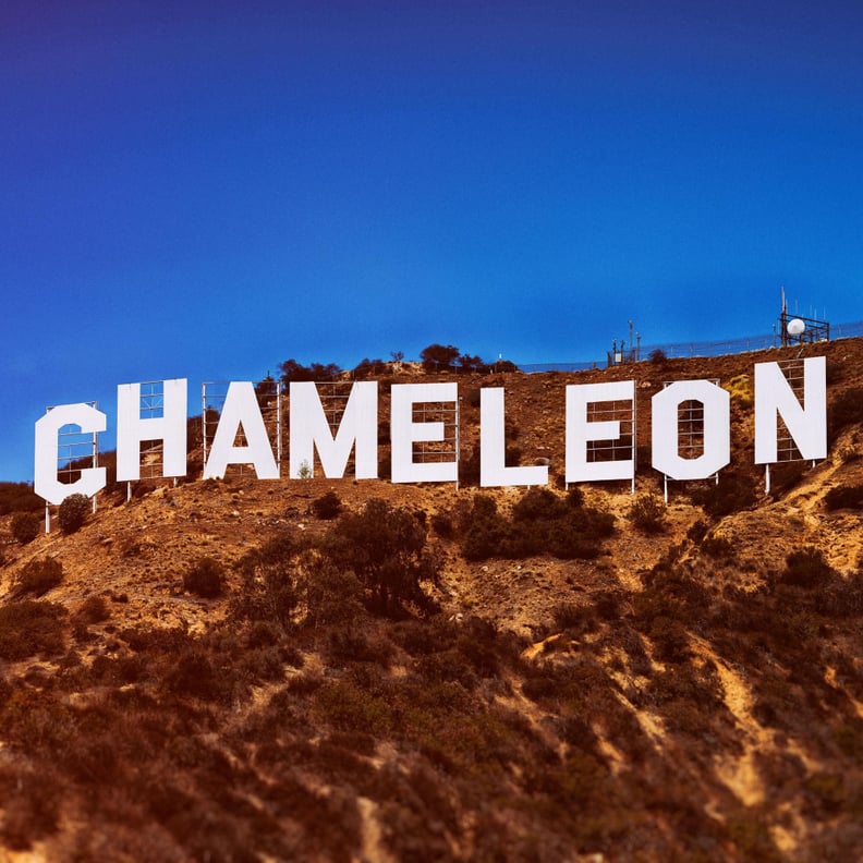 Chameleon: A Hollywood Con Queen